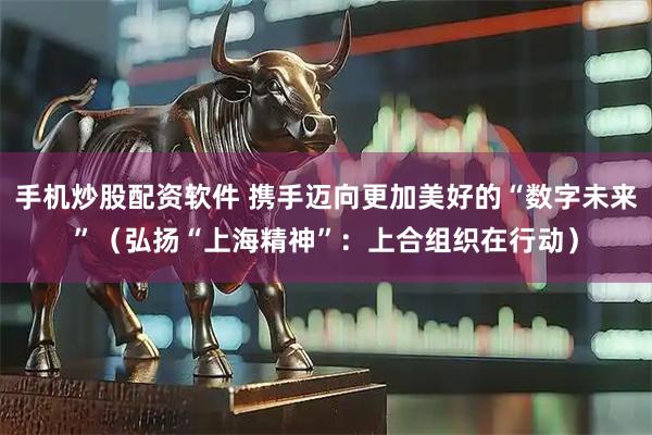 手机炒股配资软件 携手迈向更加美好的“数字未来”（弘扬“上海精神”：上合组织在行动）