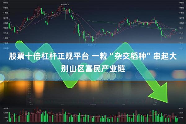股票十倍杠杆正规平台 一粒“杂交稻种”串起大别山区富民产业链